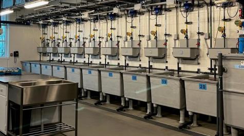 The broodstock room where animals are held and conditioned for spawning