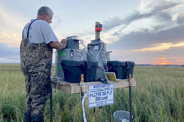 A scientist conducts a water quality experiment in wetlands