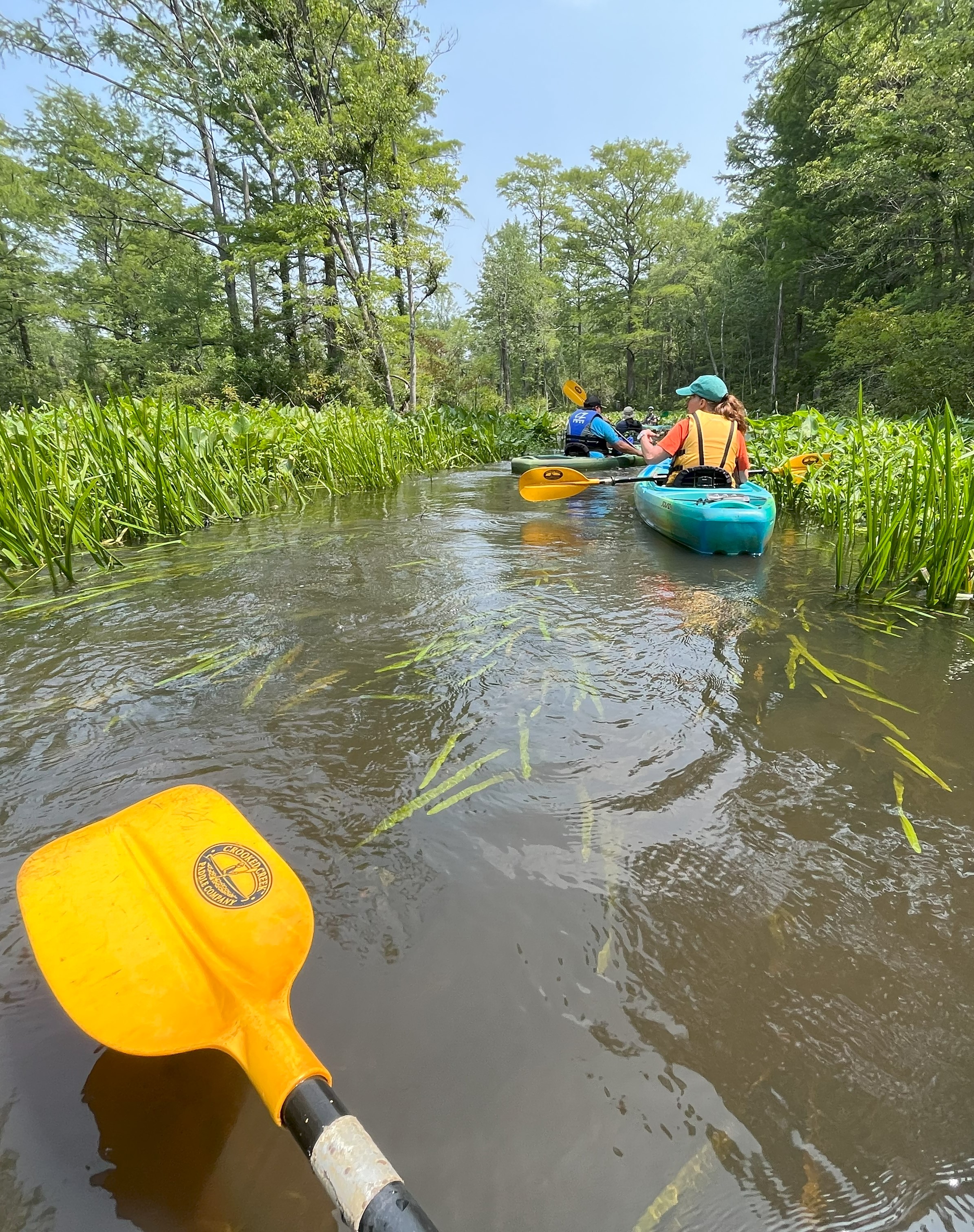 Sharing a paddle with friends and nature in the York Watershed System.  Credit: CBNERR-VA.