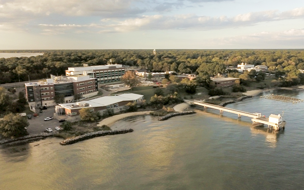 An aerial photo of the Batten School & VIMS' Gloucester Point campus taken in October, 2025. Photo by Philip Baker.