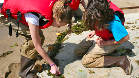 Seining