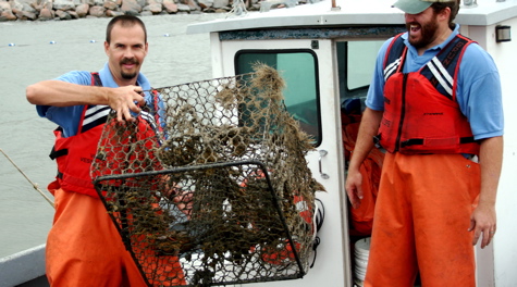 Derelict crab pot