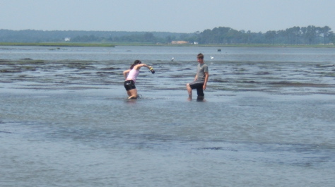 Fieldwork