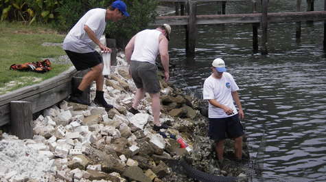 Reconstructed reefs