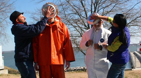 Pie in the Face