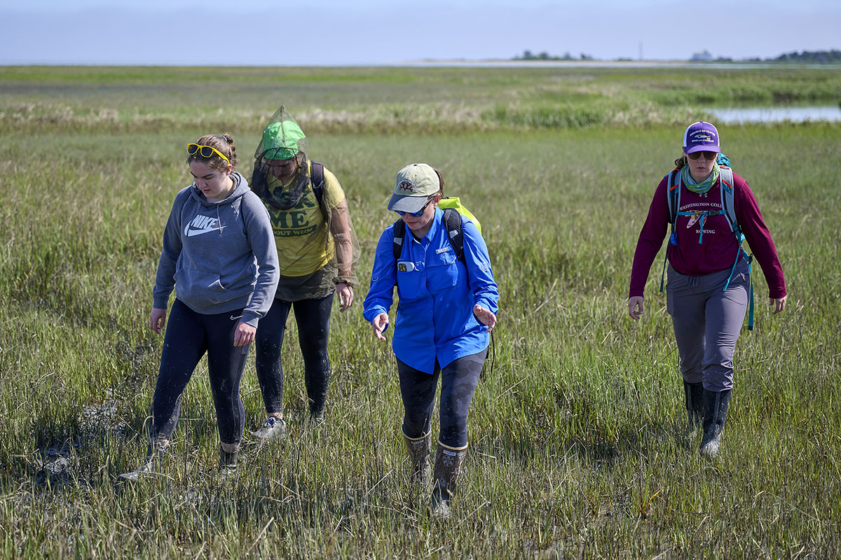 Stacy Krueger-Hadfield engages with teaching assistants and undergraduate students enrolled in the Field Studies in Coastal Marine Environments course, which now includes a phycological component. Photo by James Loving
