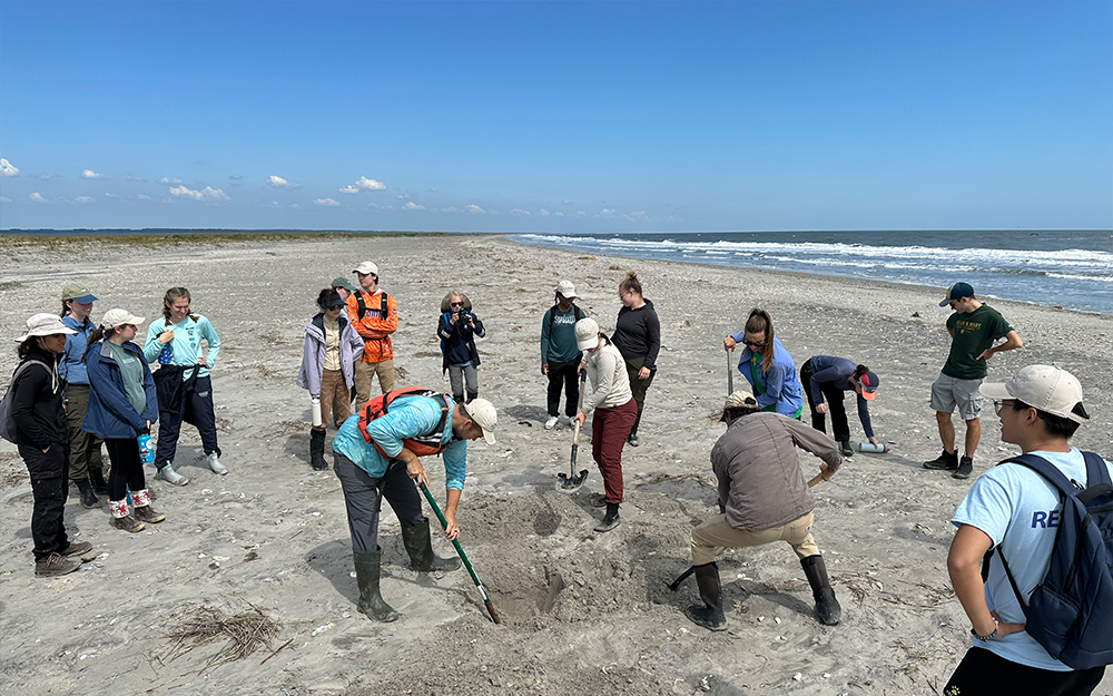 Participants dug a temporary trench to explore deposits left by recent storms. Photo by Ethan Smith.