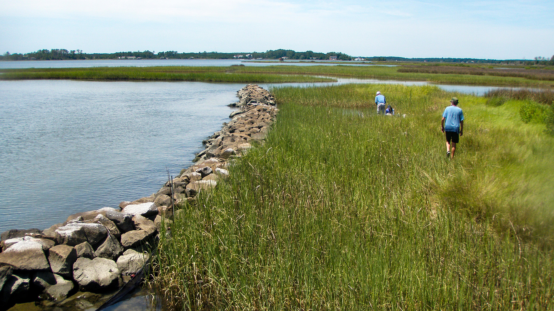 W&M's Batten School & VIMS scientists sample for benthic macroinvertabrates at a living shoreline in Captain Sinclair Recreational Area in Gloucester, VA. Photo provided by Donna Bilkovic