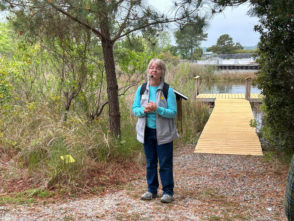 VIMS Coastal Scientist Karen Duhring has been the primary caretaker and instructor for the Teaching Marsh since 1999.  Photo by V. Ross Johnson