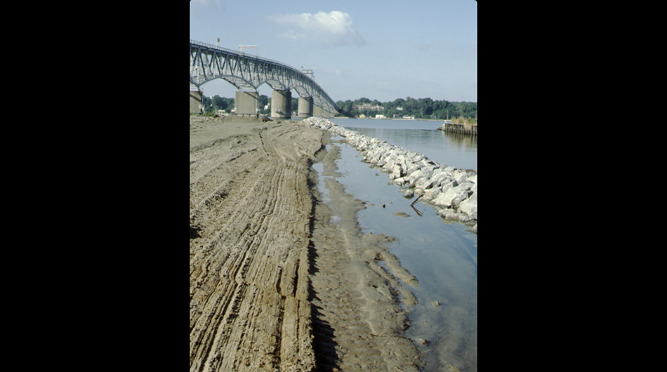 The first phase began in 1984 along the canal shoreline. Photo by C. Hershner 