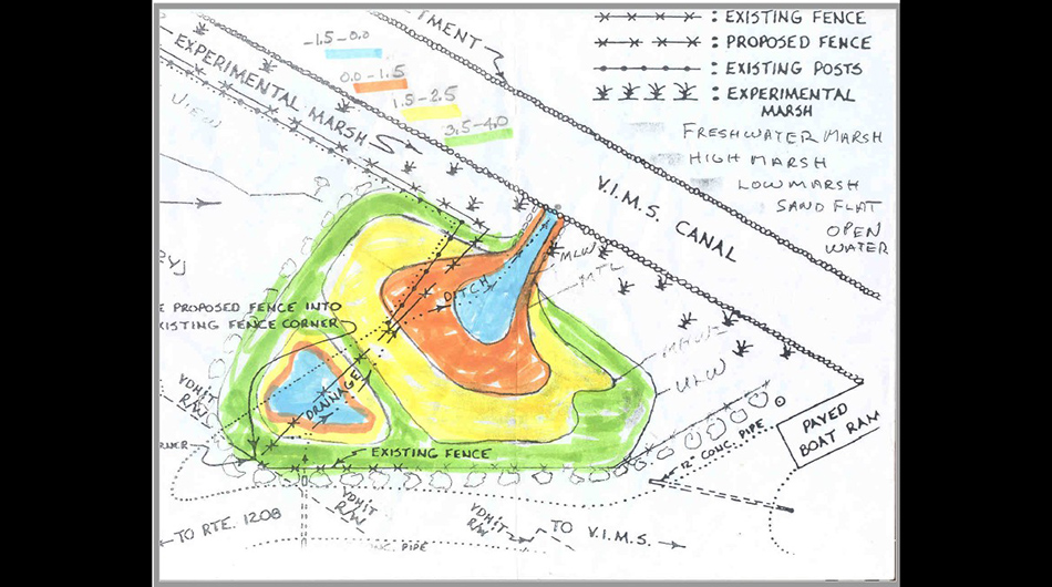 The phase two design illustrates a one-acre excavation to restore a tidal salt marsh.