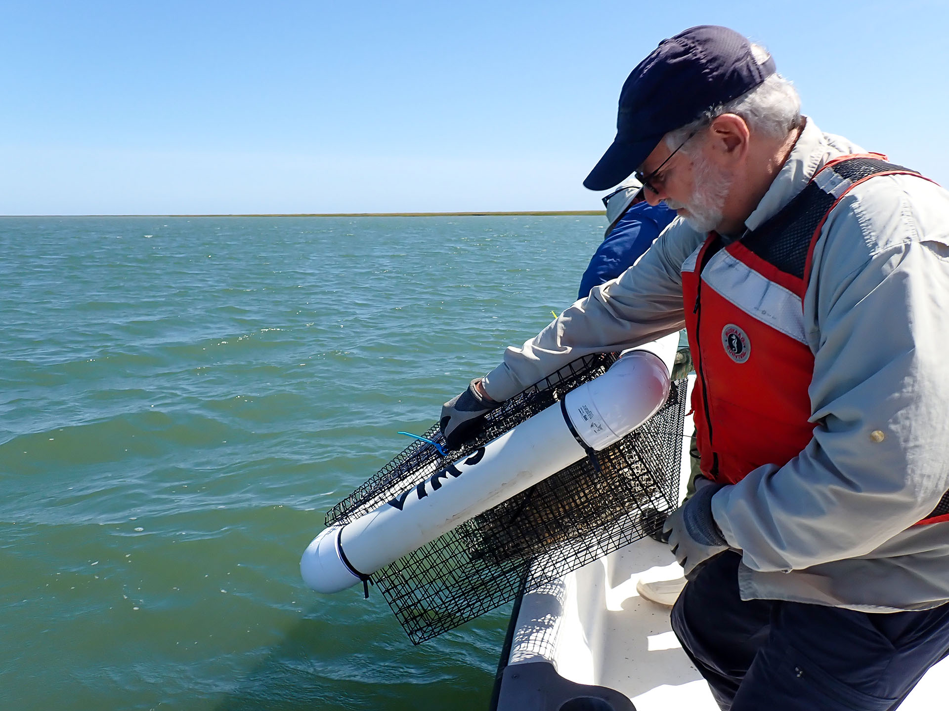 Professor Jeff Shields and Postdoctoral Research Associate Megan Tomamichel deploy a floating cage containing one of the experimental groups of juvenile crabs and oysters. Photo by Lyndsey Smith. 