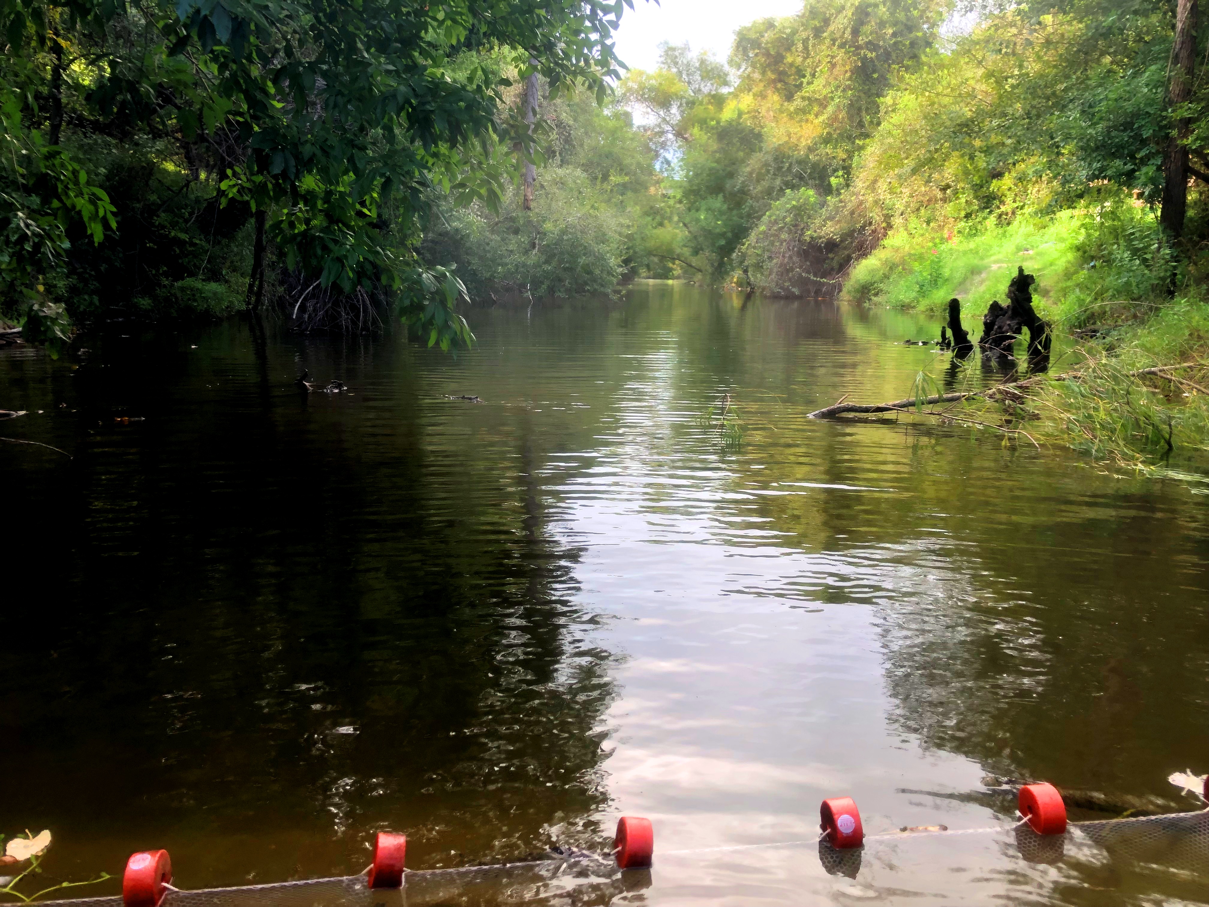 River in South Texas with net set up for fish sampling. Photo by Chris Patrick. 
