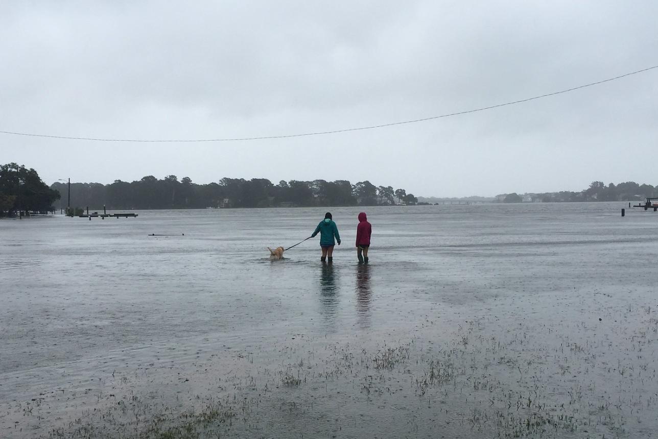 Storm surge flooding in Norfolk, Virginia during tropical storm Hermine in September, 2016. Photo by Derek Loftis.
