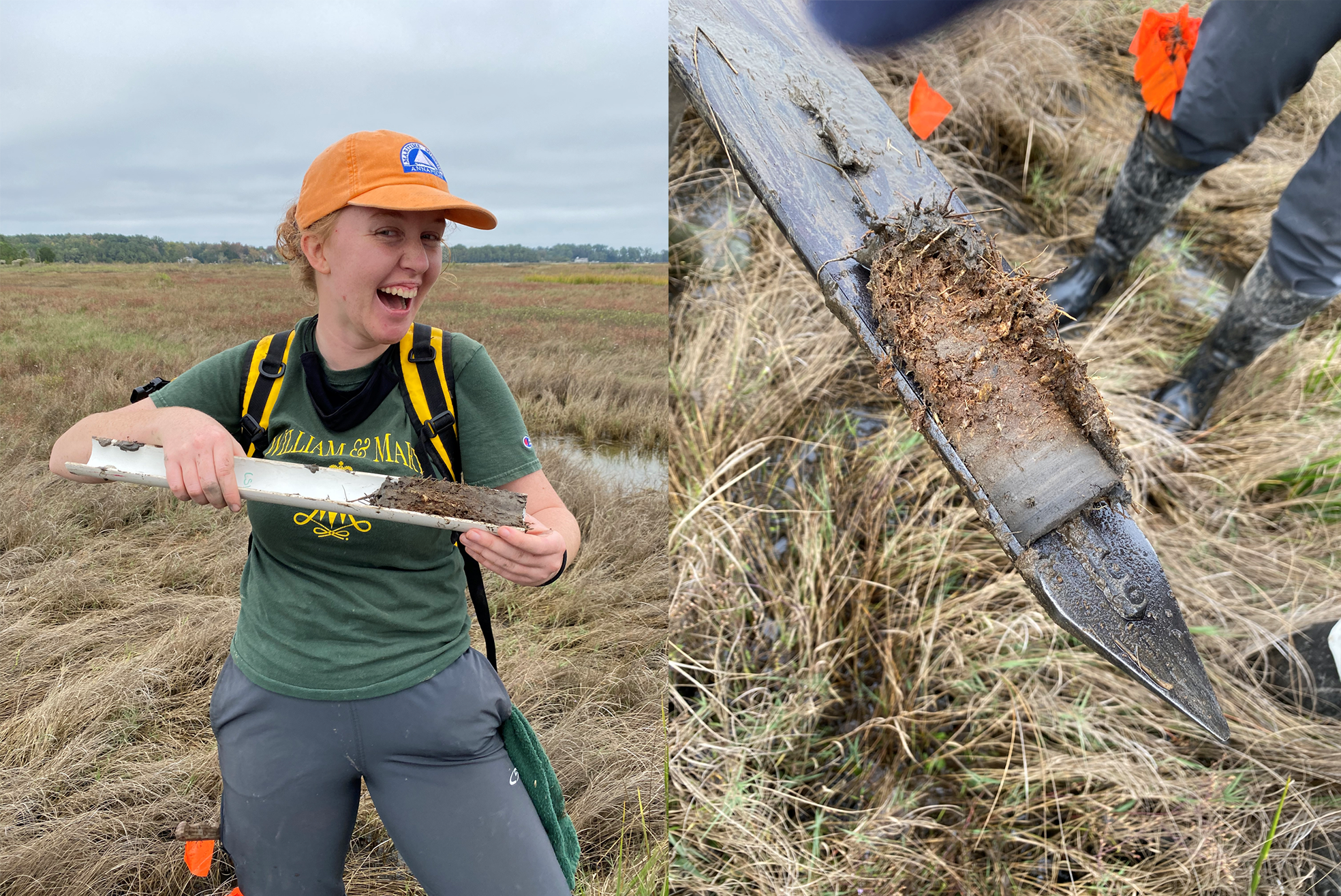 Left image, a researcher in a marsh holding a soil core sample. Right image, a close-up of a soil coring tool with a sediment layer.