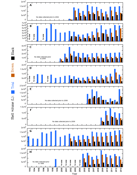 Shell Volume