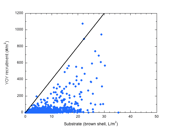 Total brown shell substrate (L/m2) versus YOY recruitment (#/m2) inclusive of all years and regions.