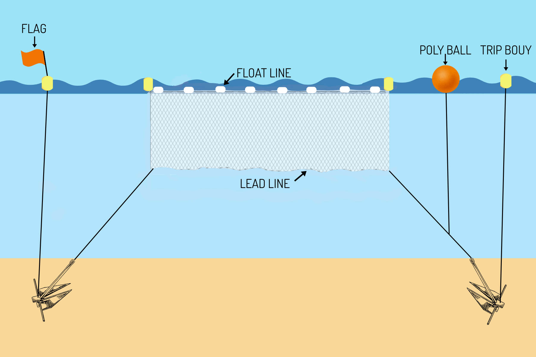 Diagram of an Anchored Gill Net (AGN) used to fish for river herring.
