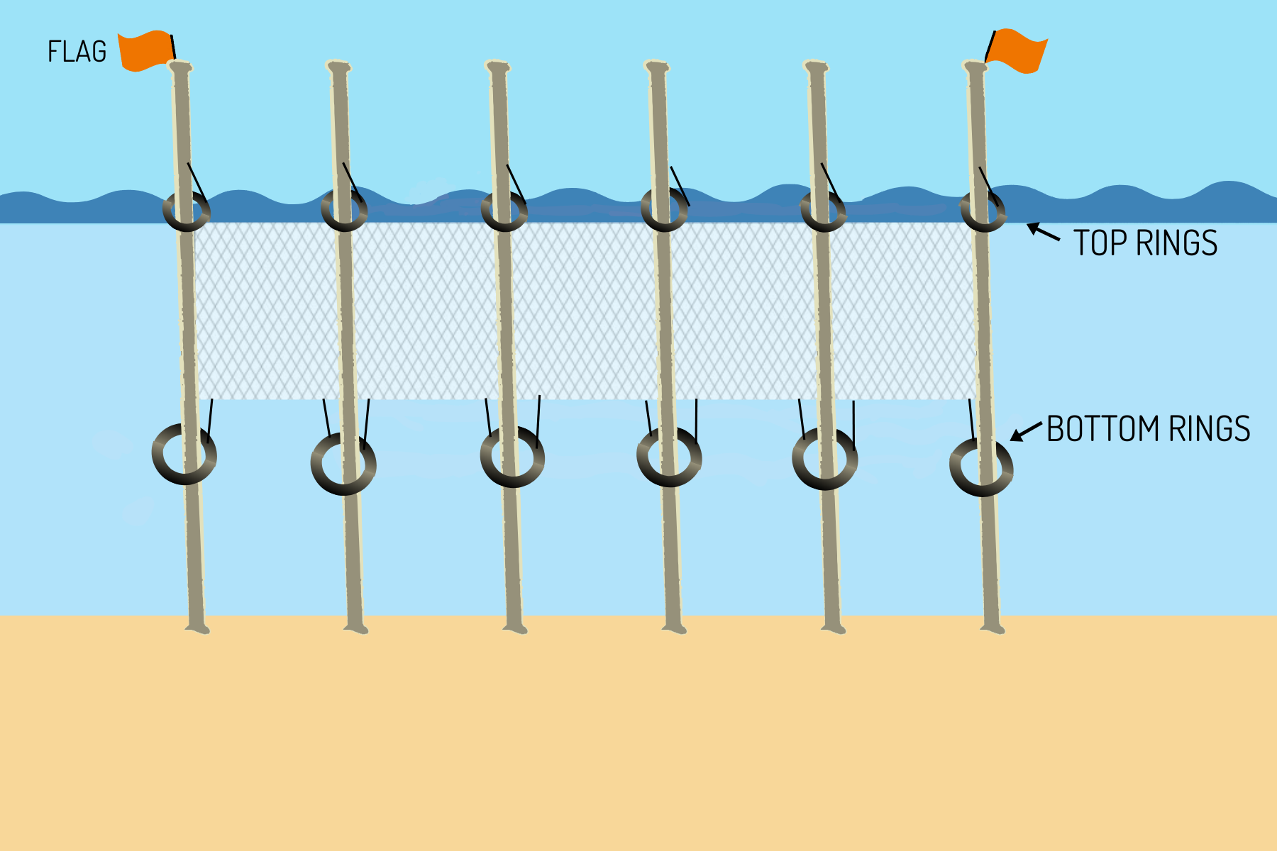 Diagram of a Staked Gill Net (SGN) like the one used to fish on the Rappahannock River.