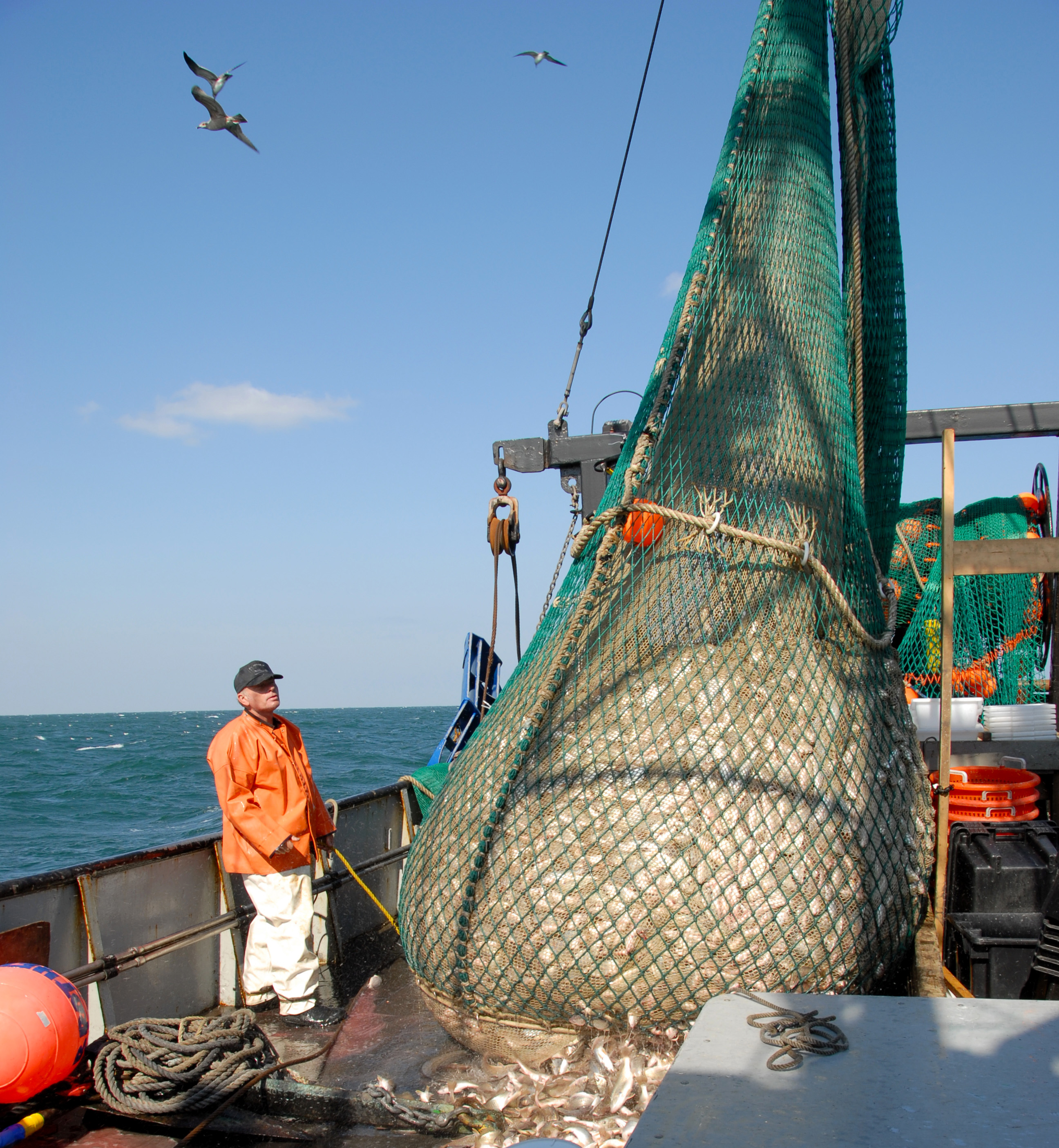 Captain on vessel with large fish catch on board