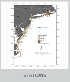 NEAMAP Stations Map