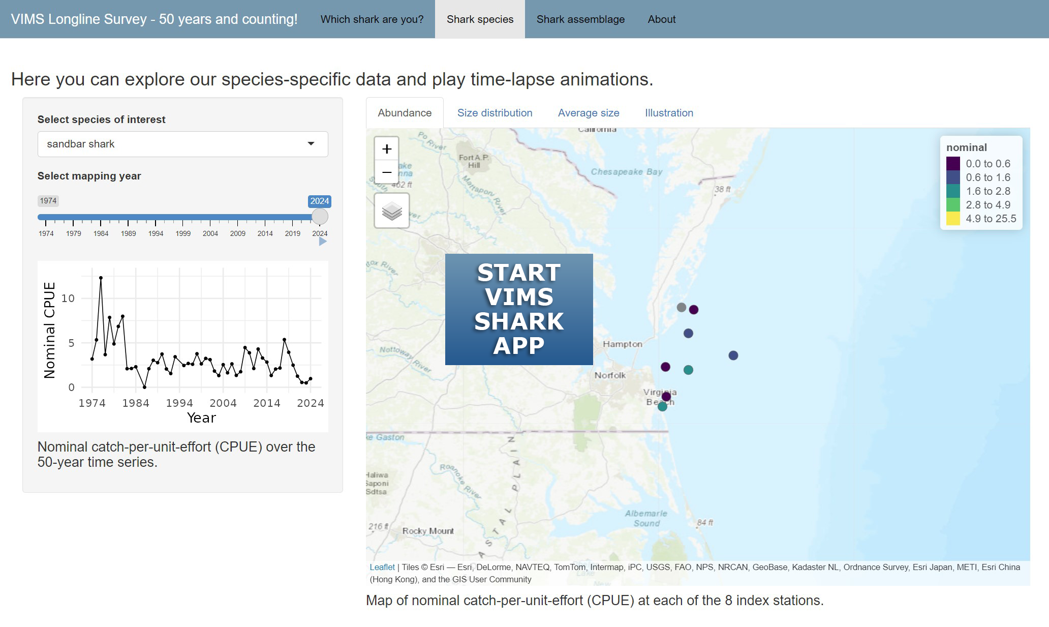 VIMS shark longline data application